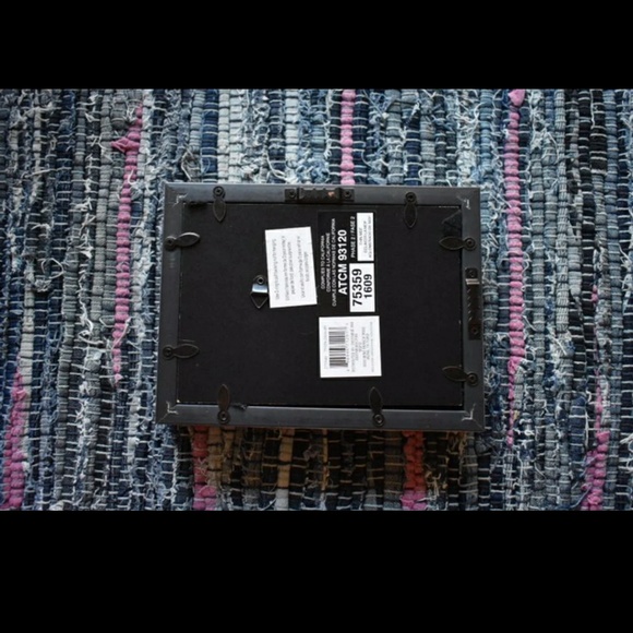 Sand dollar shadow box display - Picture 5 of 5